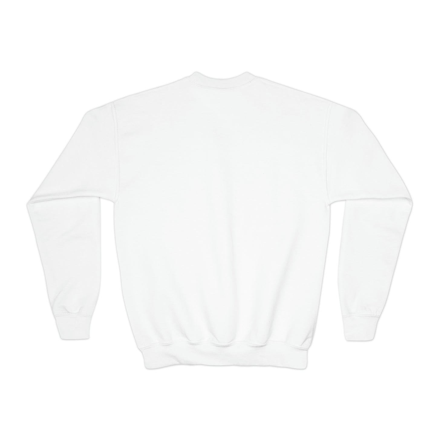 Youth "Dreidel Champion" Chanukah Sweatshirt