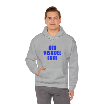 Am Yisroel Chai Hoodie