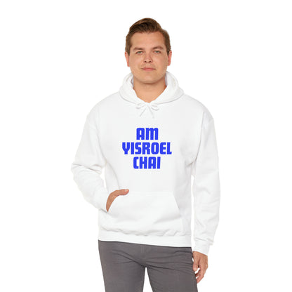 Am Yisroel Chai Hoodie