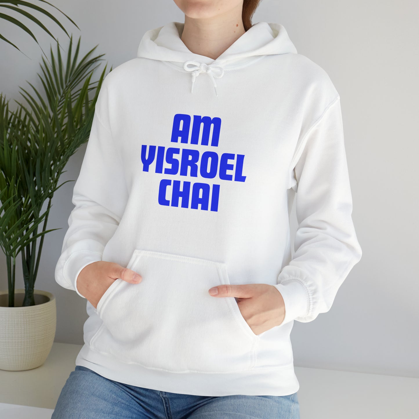 Am Yisroel Chai Hoodie