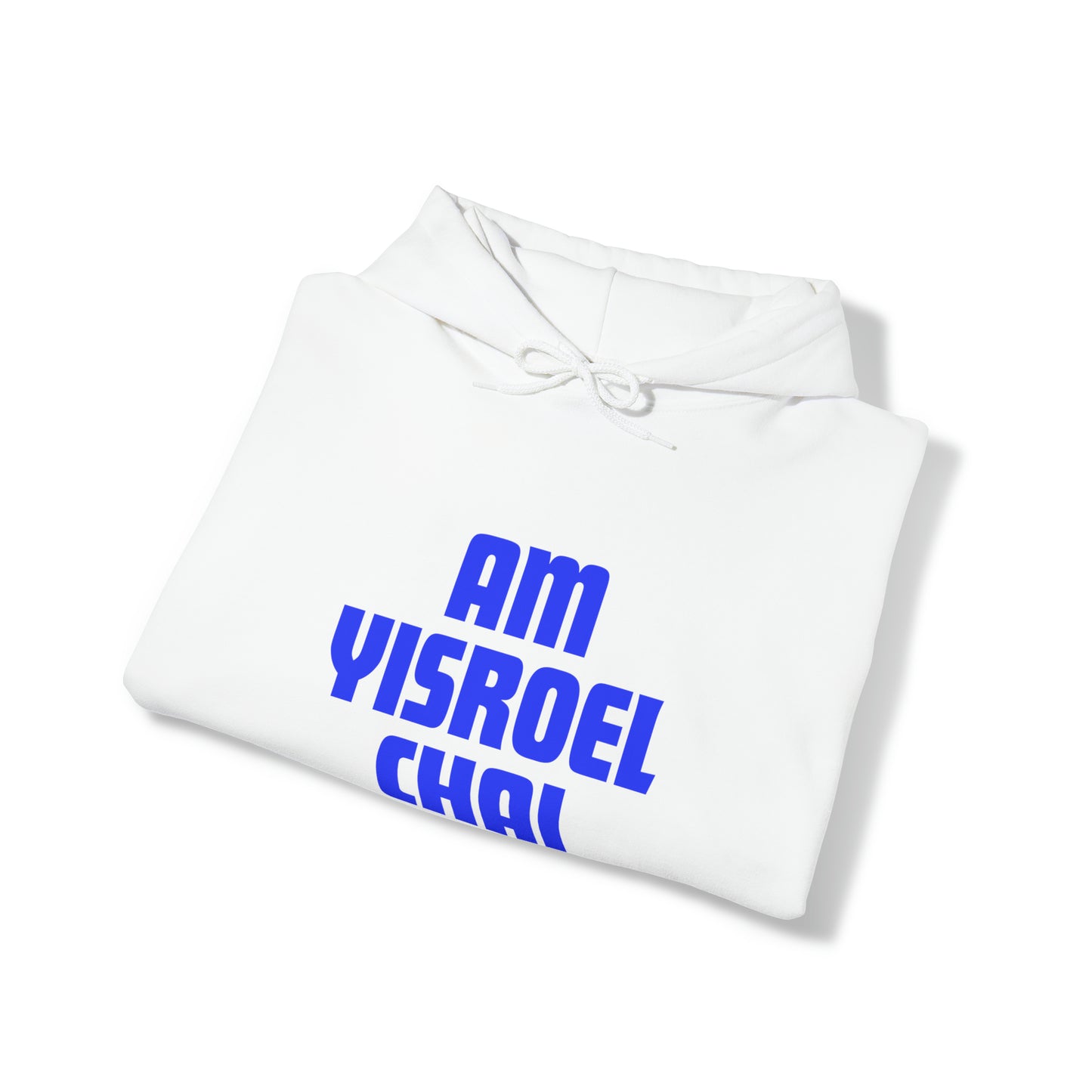 Am Yisroel Chai Hoodie