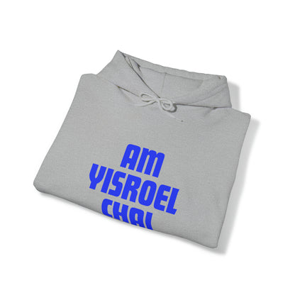 Am Yisroel Chai Hoodie