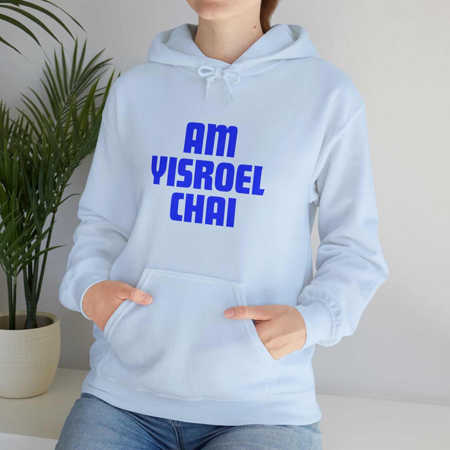 Am Yisroel Chai Hoodie