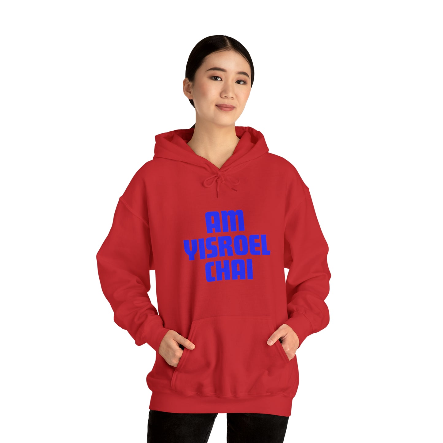 Am Yisroel Chai Hoodie