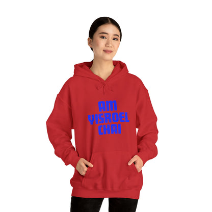 Am Yisroel Chai Hoodie