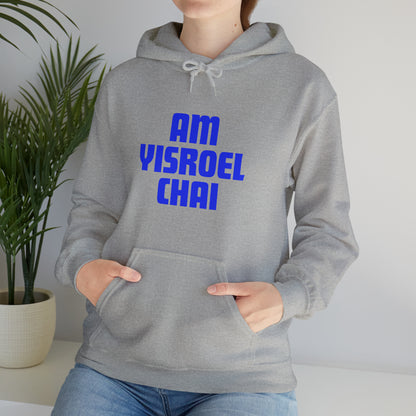 Am Yisroel Chai Hoodie