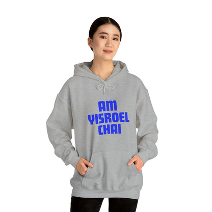 Am Yisroel Chai Hoodie