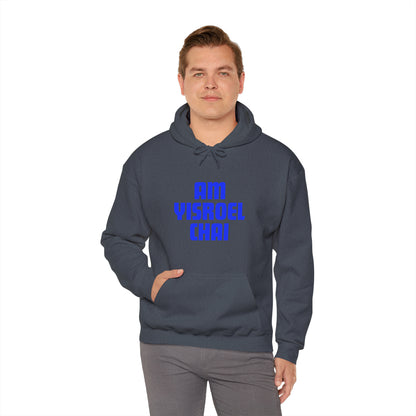 Am Yisroel Chai Hoodie