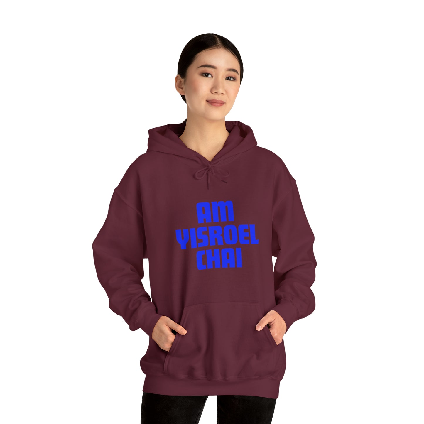 Am Yisroel Chai Hoodie