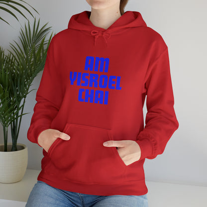 Am Yisroel Chai Hoodie