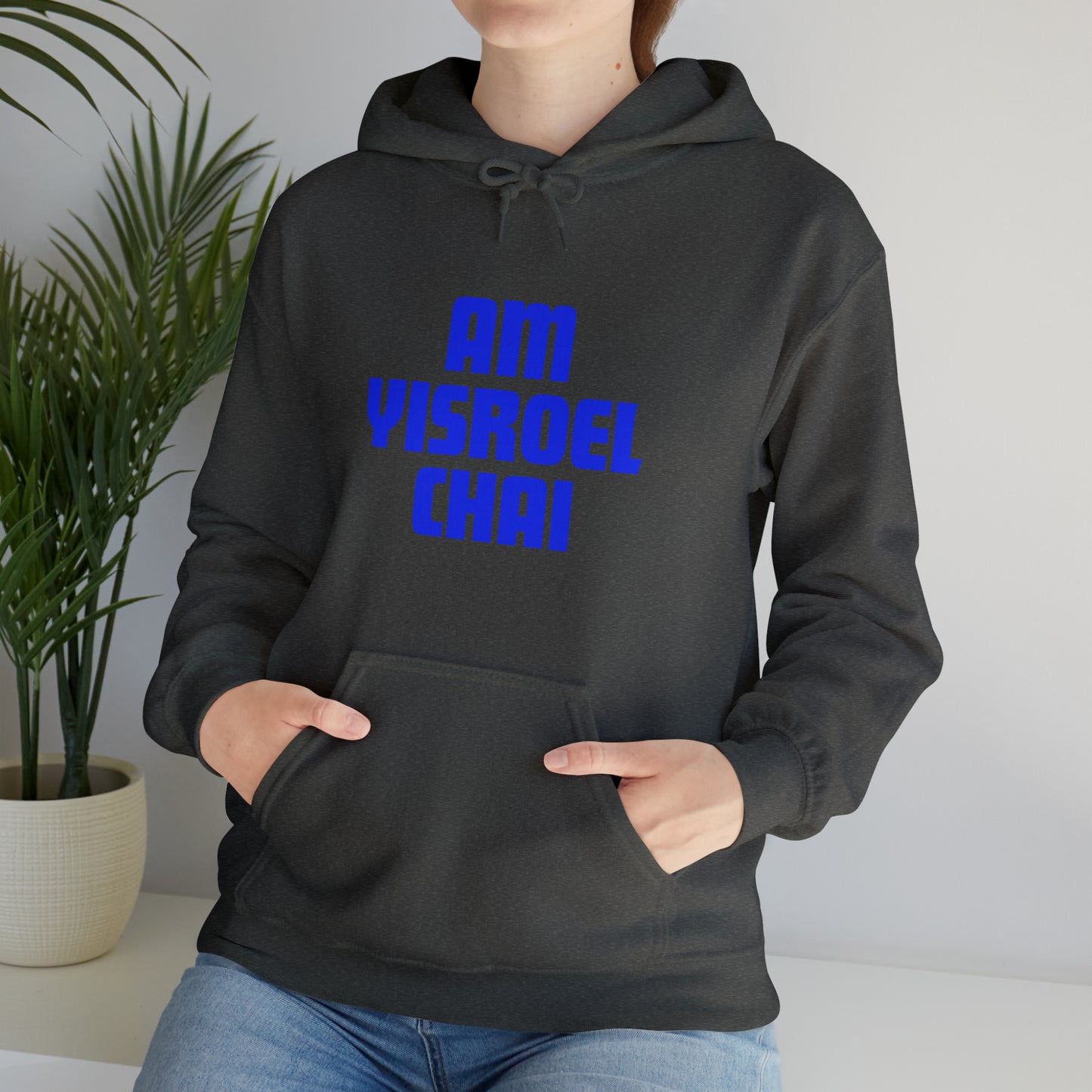 Am Yisroel Chai Hoodie