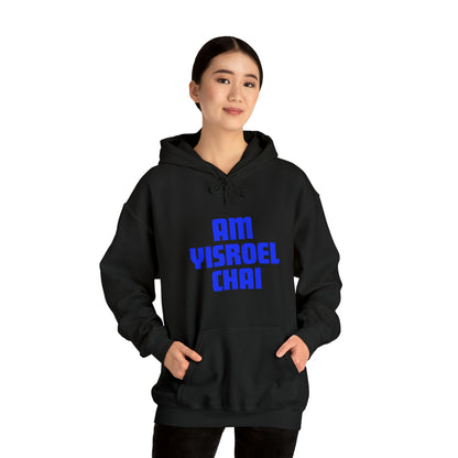 Am Yisroel Chai Hoodie